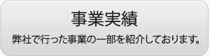 事業実績