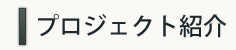 プロジェクト紹介